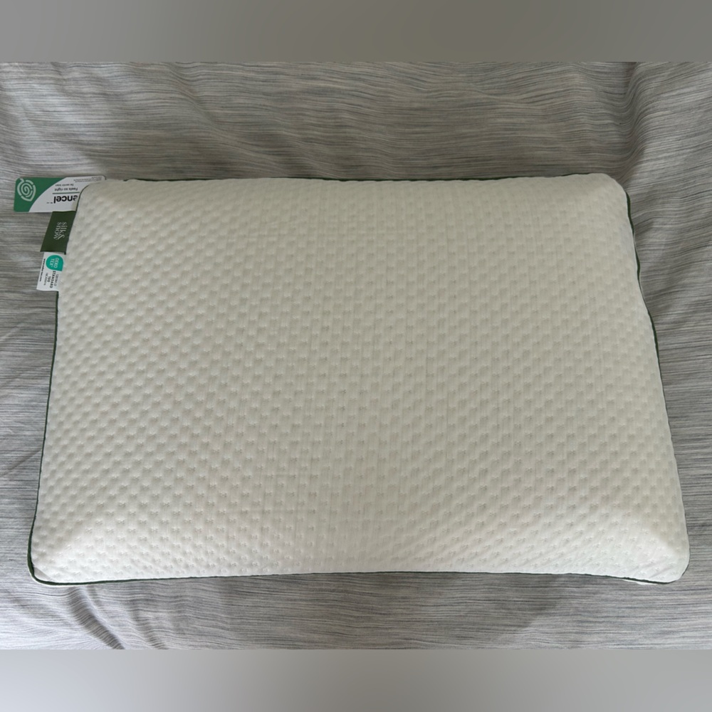 Silk and Snow Eco Soy Pillow